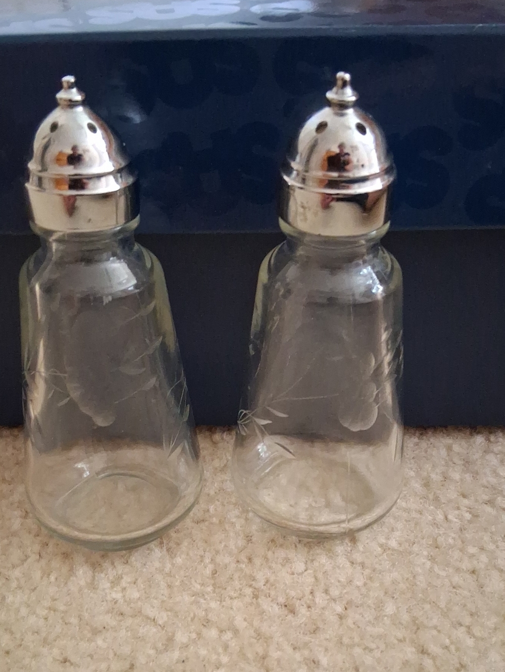 Princess House Salt and Pepper Shakers with Silver Caps